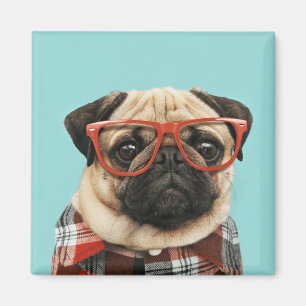 Mops Kariert Shirt Magnet