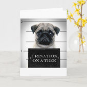 Mops Karte (Gelbe Blume)