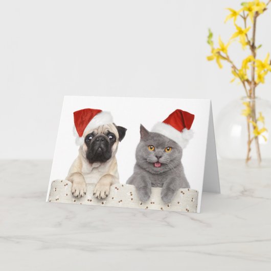 Mops & Katze - Weihnachtskarte Karte (Gelbe Blume)