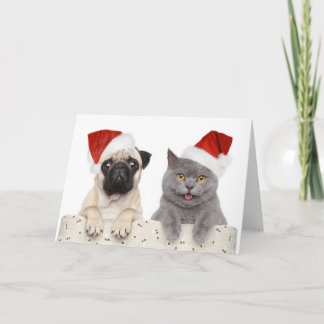 Mops & Katze - Weihnachtskarte Karte