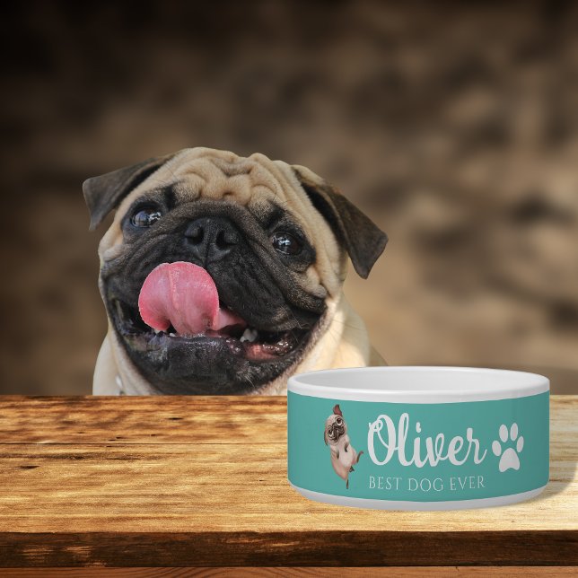 Mops Keramik Haustiere Schüssel (Von Creator hochgeladen)