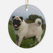 Mops-Keuchen Keramikornament (Links)