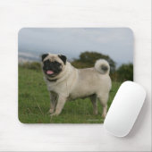 Mops-Keuchen Mousepad (Mit Mouse)
