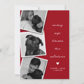 Mops & Kisses Foto Collage Valentines Feiertagskarte (Vorderseite)