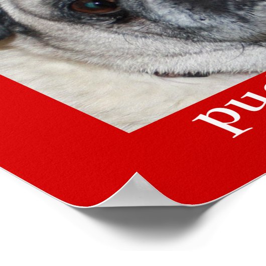 Mops & Kisses Poster (Ecke)