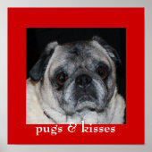 Mops & Kisses Poster (Vorne)