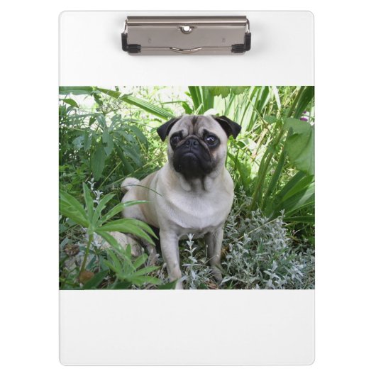 Mops Klemmbrett (Vorderseite)
