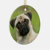 Mops-Kopf gespannt, Kamera betrachtend Keramikornament (Rechts)