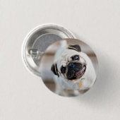 Mops-Kopfneigung Button (Vorne & Hinten)