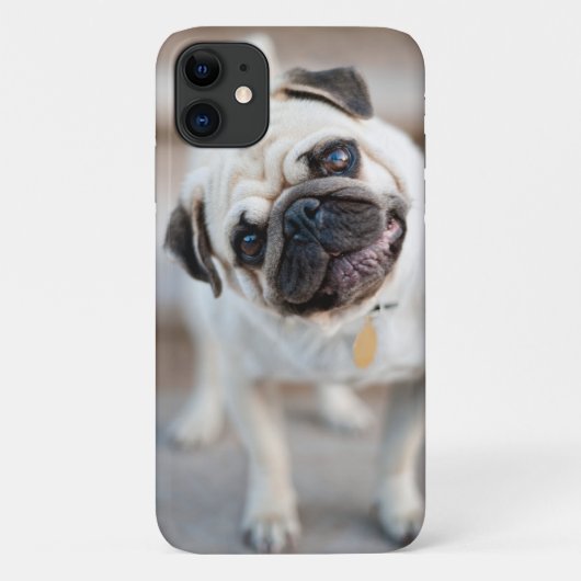 Mops-Kopfneigung Case-Mate iPhone Hülle (Rückseite)