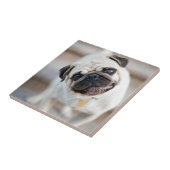 Mops-Kopfneigung Fliese (Seite)