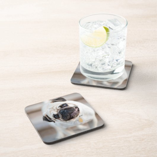 Mops-Kopfneigung Getränkeuntersetzer (Rechte Seite)