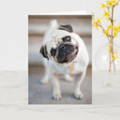 Mops-Kopfneigung Karte (Gelbe Blume)