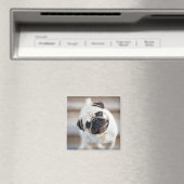 Mops-Kopfneigung Magnet (In Situ (Geschirrspüler))