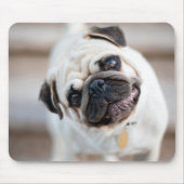 Mops-Kopfneigung Mousepad (Vorne)
