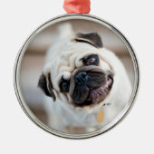Mops-Kopfneigung Ornament Aus Metall (Vorne)