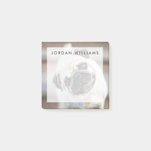 Mops-Kopfneigung Post-it Klebezettel (Vorderseite)