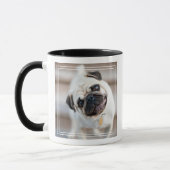 Mops-Kopfneigung Tasse (Links)