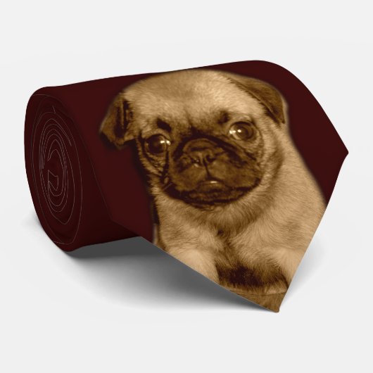 Mops-Krawatte Krawatte (Gerollt)