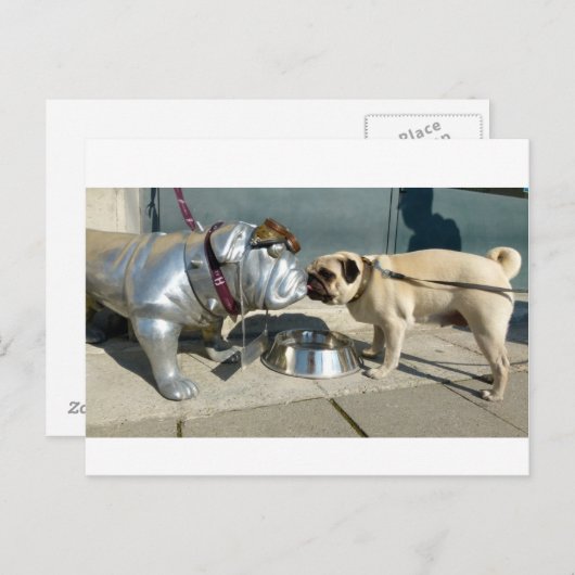 Mops Küsse Postkarte (Vorne/Hinten)