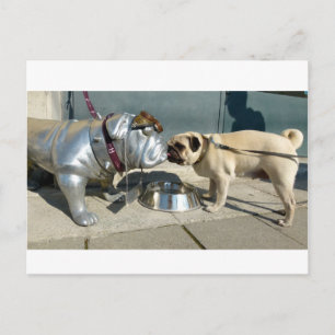 Mops Küsse Postkarte