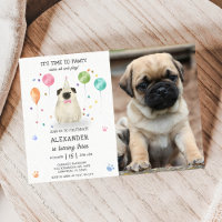 Mops Lasse Hund Pawty Welpe Geburtstag Pink Foto