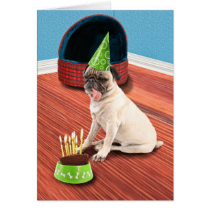 Mops lecken