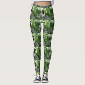 Mops Leggings (Vorderseite)