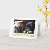 Mops Liebe Mitteilungskarten (Gelbe Blume)