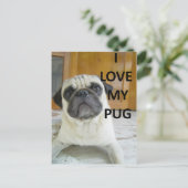 Mops Liebe w pic.png Postkarte (Stehend Vorderseite)