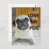 Mops Liebe w pic.png Postkarte (Vorne/Hinten)