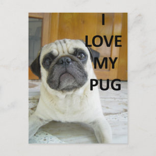 Mops Liebe w pic.png Postkarte