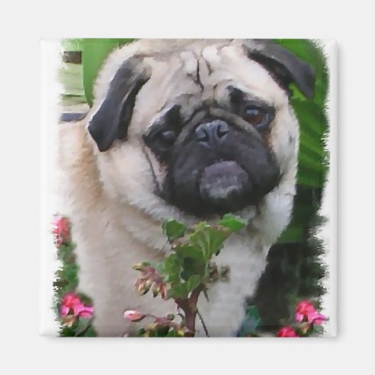 Mops Liebhaber Geschenke Magnet (Vorne)