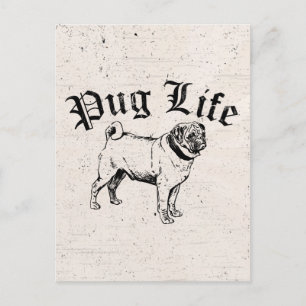 Mops Life Funny Dog Gangster Postkarte