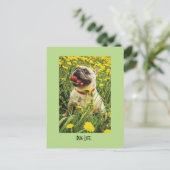 Mops Life Hund Postkarte (Stehend Vorderseite)