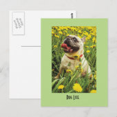 Mops Life Hund Postkarte (Vorne/Hinten)