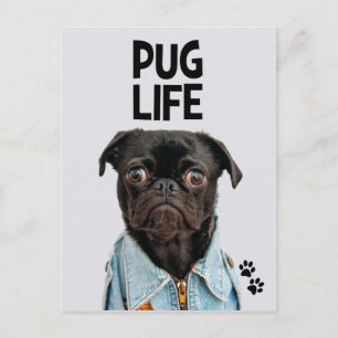 Mops Life Postcard Postkarte