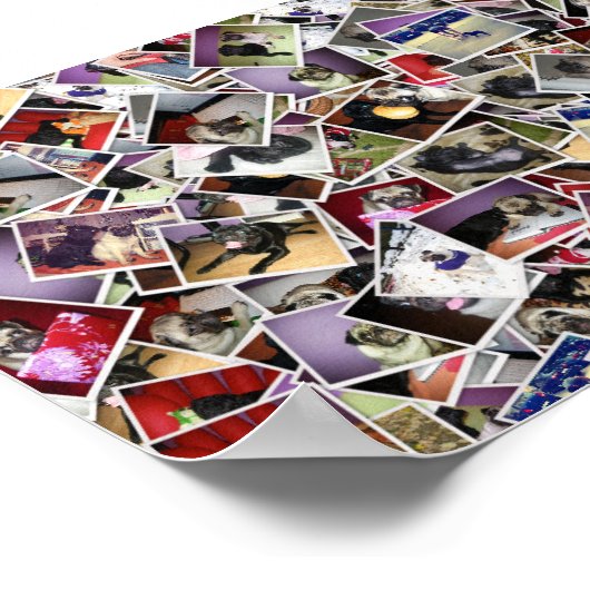 Mops Life Poster (Ecke)