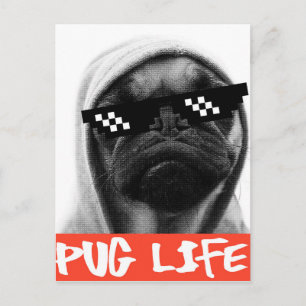 Mops Life Postkarte