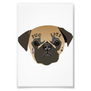 Mops Lovers Lebensdauer Niedlicher Mops Fotodruck