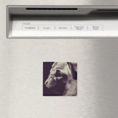 Mops Magnet (In Situ (Geschirrspüler))