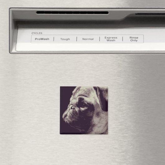 Mops Magnet (In Situ (Geschirrspüler))