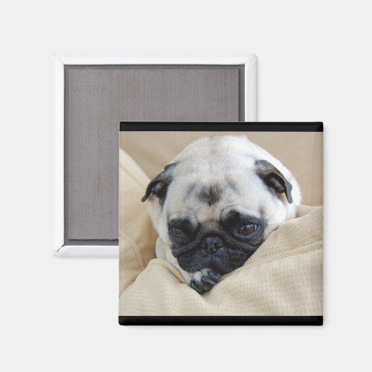 Mops Magnet (Vorderseite/Rückseite)