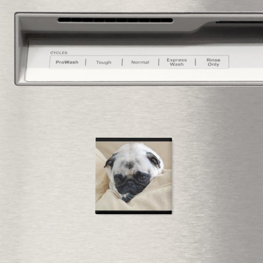 Mops Magnet (In Situ (Geschirrspüler))