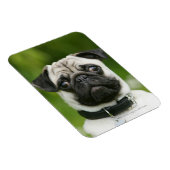 Mops Magnet (Rechte Seite)