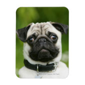 Mops Magnet (Vertikal)