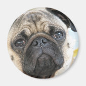 Mops Magnet (Vorne)