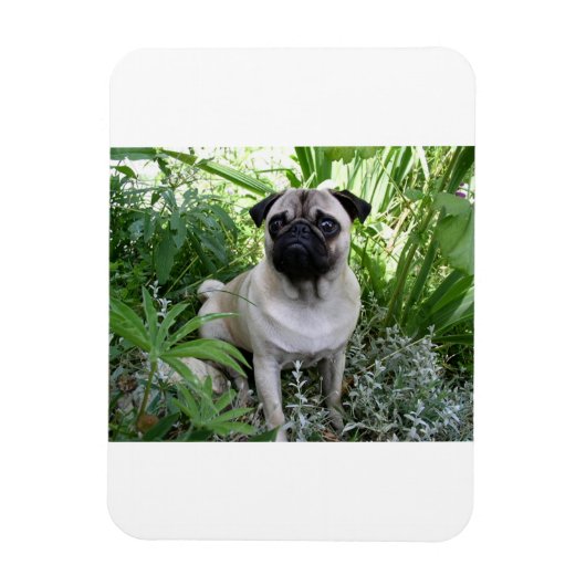 Mops Magnet (Vertikal)