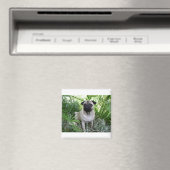 Mops Magnet (In Situ (Geschirrspüler))