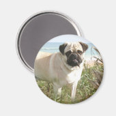 Mops Magnet Beachgrass (Vorderseite/Rückseite)